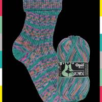 Opal SHOWBIZ Pullover-& Sockenwolle Farbe: 11392 Rampenlicht Bild 1
