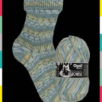 Opal SHOWBIZ Pullover-& Sockenwolle Farbe: 11393 Applaus Bild 1