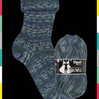 Opal SHOWBIZ Pullover-& Sockenwolle Farbe: 11395 Standing Ovations Bild 1