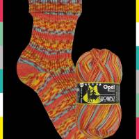 Opal SHOWBIZ Pullover-& Sockenwolle Farbe: 11396 Theater Bild 1