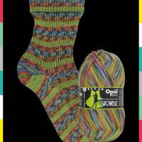Opal SHOWBIZ Pullover-& Sockenwolle Farbe: 11397 Zugabe Bild 1