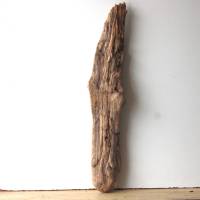 Treibholz Schwemmholz Driftwood  1  XXL  Skulptur   Dekoration  Garten  Lampe  84 cm Bild 1