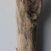 Treibholz Schwemmholz Driftwood  1  XXL  Skulptur   Dekoration  Garten  Lampe  104 cm Bild 3