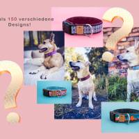 Mystery Box für deinen Hund, 2 für 1, eine Überraschungsbox mit zwei Halsbändern Bild 3