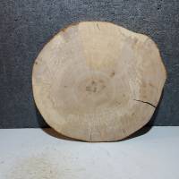Baumscheibe, Holzscheibe, Ahorn, Holz, Bastelholz, Holzdeko, Dekoration, Holzplatte Bild 8