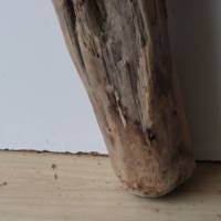 Treibholz Schwemmholz Driftwood  1  knorrige  XL   Wurzel  Dekoration  Garten  Lampe  50  cm hoch Bild 4