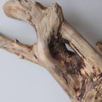Treibholz Schwemmholz Driftwood  1  knorrige  XL   Wurzel  Dekoration  Garten  Lampe  50  cm hoch Bild 7