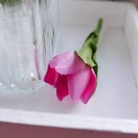Tulpe-4-er rosa Bild 6