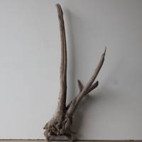 Treibholz Schwemmholz Driftwood  1 XL   Wurzel  Dekoration  Garten  Lampe  83  cm hoch Bild 8