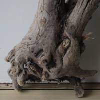 Treibholz Schwemmholz Driftwood  1 XL   Wurzel  Dekoration  Garten  Lampe  83  cm hoch Bild 9