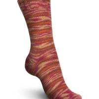 Schachenmayr Regia Wellness Color Sockenwolle 4-fach 01308 Bild 1