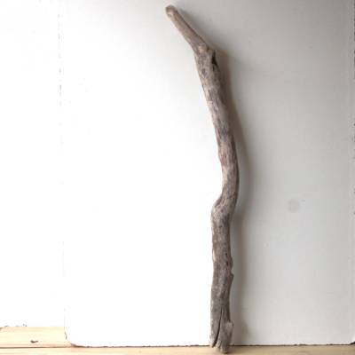 Treibholz Schwemmholz Driftwood  1 XXL  Ast   Dekoration  Garten  Lampe Garderobe   118 cm