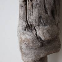 Treibholz Schwemmholz Driftwood  1 knorrige   Skulptur   Dekoration  Garten  Terrarium Weihnachten 26 cm Bild 4