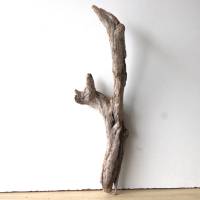 Treibholz Schwemmholz Driftwood  1    Wurzel  Dekoration  Garten  Lampe  59  cm hoch Bild 10