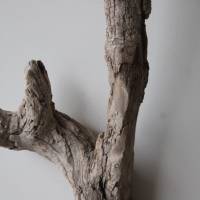 Treibholz Schwemmholz Driftwood  1    Wurzel  Dekoration  Garten  Lampe  59  cm hoch Bild 2