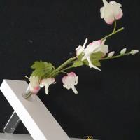 SCHRÄGE  Vase, selbststehend, für kleine Blumen sowie Trockenblumen Bild 1
