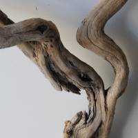 Treibholz Schwemmholz Driftwood  1  MEGA   Wurzel  Dekoration  Garten  Lampe  92  cm Bild 2