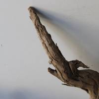 Treibholz Schwemmholz Driftwood  1  MEGA   Wurzel  Dekoration  Garten  Lampe  92  cm Bild 3