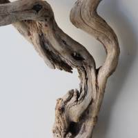 Treibholz Schwemmholz Driftwood  1  MEGA   Wurzel  Dekoration  Garten  Lampe  92  cm Bild 5
