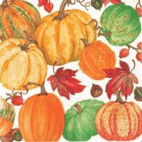20 Cocktailservietten Pumpkin Field, mit Kürbissen und Herbstblättern, von Caspari Bild 1