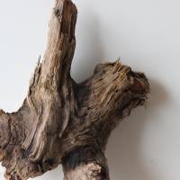 Treibholz Schwemmholz Driftwood  1  knorrige  XL   Wurzel  Dekoration  Garten  Lampe  48  cm hoch Bild 10
