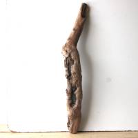 Treibholz Schwemmholz Driftwood  1 knorriger XL    Stamm Dekoration  Garten  Lampe  DIY   88  cm Bild 1