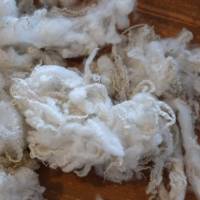40 Gr. gewaschene Rohwolle vom Bluefaced Leicester Schaf, Puppenhaar, Spinnen, Filzen, Basteln Bild 6