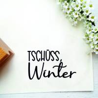 Stempel "Tschüss Winter" für Osterdeko, Osterpost, kleine Geschenke Bild 1