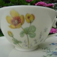 RARITÄT! Kaffeegedeck aus Porzellan-Serie. "Wiesenblumen" - Krautheim Selb. Bild 2