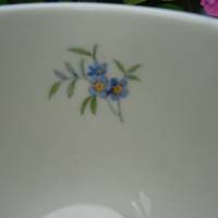 RARITÄT! Kaffeegedeck aus Porzellan-Serie. "Wiesenblumen" - Krautheim Selb. Bild 8