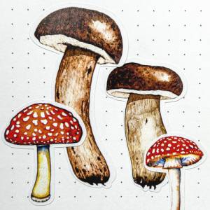 Sticker Pilze | Fliegenpilz | Herbst | Aufkleber Bulletjournal | Journal Sticker | Watercolor Bild 6