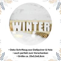 Deko Schriftzug Winter ~ Gießpulver | Holz Bild 2