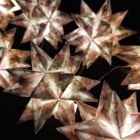 Bascettasterne Origami Bastelset 10 Sterne transparent Rosen und Ranken 5,0 cm x 5,0 cm Bild 1