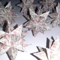 Bascettasterne Origami Bastelset 10 Sterne transparent Rosen und Ranken 5,0 cm x 5,0 cm Bild 10