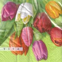Hallo Frühling! 20 Lunchservietten mit farbigen Tulpen, von Braun+Company Bild 1