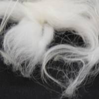 100 Gramm weiße Rohwolle von der Skudde, Spinnen, Filzen, Basteln Bild 2