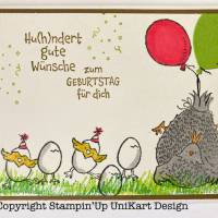 Geburtstagskarte Karte Glückwunschkarte Eier, Huhn Stampin'up Handgefertigt UniKart Bild 2