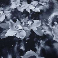Stoff Baumwolle French Terry Sweatshirtstoff Blumen Blüten Himmel graublau blau schwarz weiß Kleiderstoff Kinderstoff Bild 1