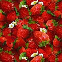 aus USA:  Baumwolldruck  "Erdbeeren", 112 cm breit, Meterware, Preis pro 0,5 lfdm Bild 1