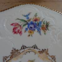 Servierplatte mit 6 dazugehörenden Tellern in einzigartigem Design und Dekor. "Sanssouci" - Rosenthal Selb Germa Bild 9