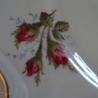 Traumhaft schöner Servierteller. "Moss Rose" Rosenthal Pompadour. Durchmesser: 26 cm Bild 5