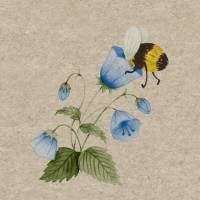 25 Cocktailservietten Bee Flowerful, Recycling Tissue, mit Biene in blauer Blume, von Paper+Design Bild 1