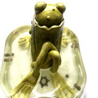 Der Spreewaldfrosch, Pickles, saure Gurken, Frosch Skulptur, Frosch im Glas, Froschkönig, Froschplastik, modellierter Fr Bild 10