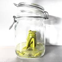 Der Spreewaldfrosch, Pickles, saure Gurken, Frosch Skulptur, Frosch im Glas, Froschkönig, Froschplastik, modellierter Fr Bild 3