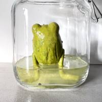 Der Spreewaldfrosch, Pickles, saure Gurken, Frosch Skulptur, Frosch im Glas, Froschkönig, Froschplastik, modellierter Fr Bild 5
