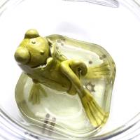Der Spreewaldfrosch, Pickles, saure Gurken, Frosch Skulptur, Frosch im Glas, Froschkönig, Froschplastik, modellierter Fr Bild 6