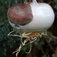 Ohrwurmkugel Insektenkugel aus Keramik frostfeste Gartenkeramik Bild 6