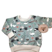 Babykleidung Junge, Babyset 2-teilig, Kinderkleidung, Pumphose, Sweatshirt, Größe 68 Bild 2