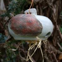 Ohrwurmkugel Insektenkugel aus Keramik frostfeste Gartenkeramik Bild 7