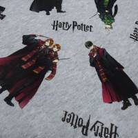 Stoff Baumwolle Jersey Lizenzdruck Harry Potter Hermine Ron grau melange bunt Kinderstoff Kleiderstoff Bild 1